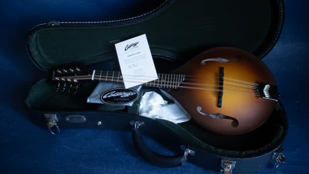 New Collings MT
